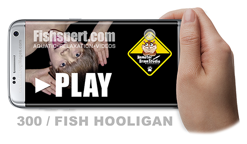 Get your free Hamster Brain Studio tropical fish aquarium!